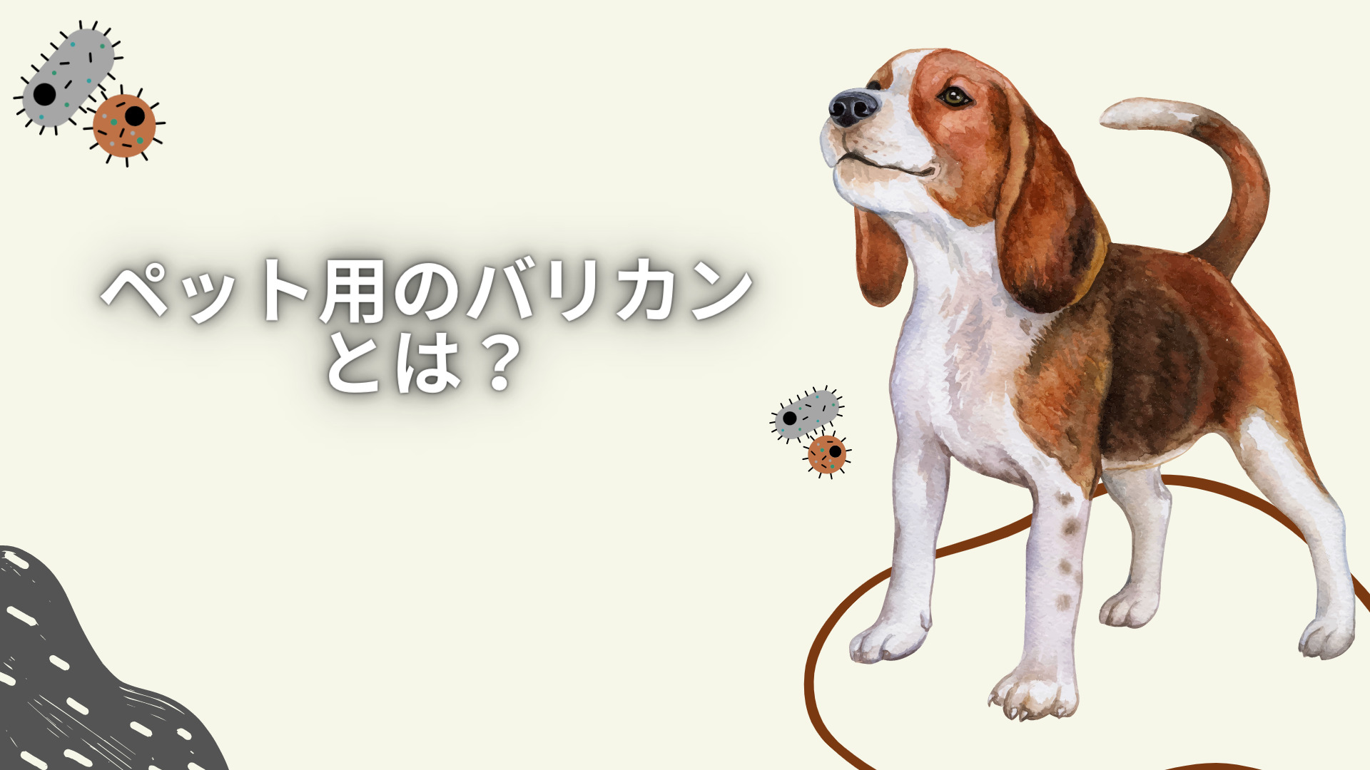 白×茶色のネコと白×黒のネコが、紫色のソファーの上で寄り添いながら眠っている様子