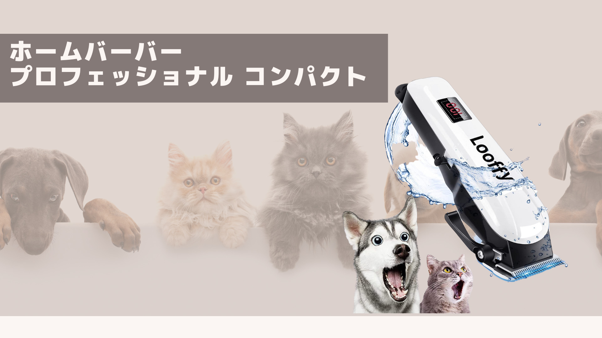 ぼやけた木々を後ろに、家型の積み木とコインが高さ順に並べられている様子