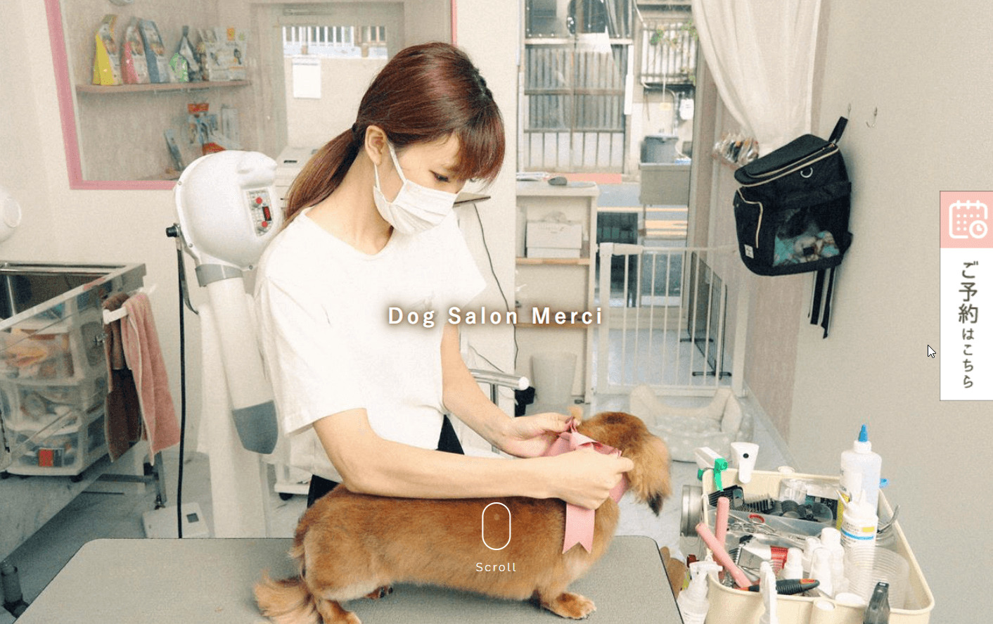 dog salon merciのホームページ画像